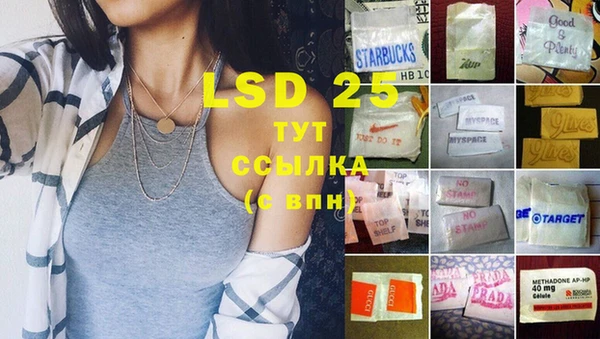 шишки Заволжск
