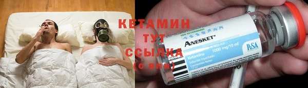 шишки Заволжск
