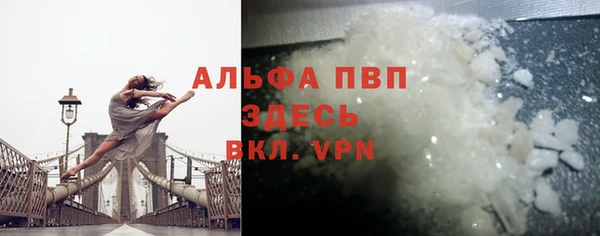 СК Зеленокумск