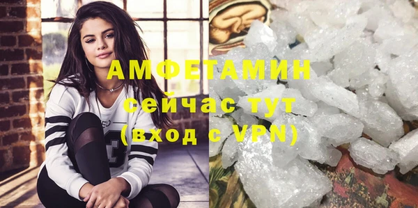 шишки Заволжск
