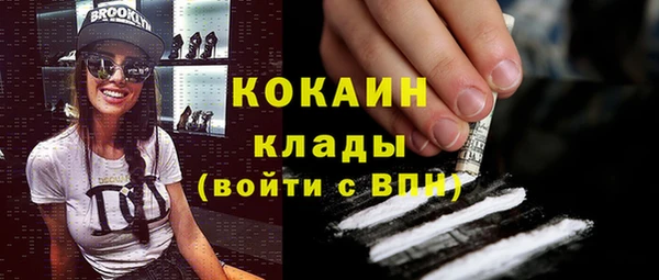 стаф Зерноград