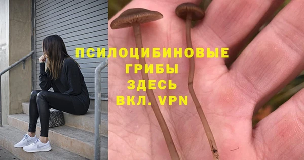 винт Заводоуковск