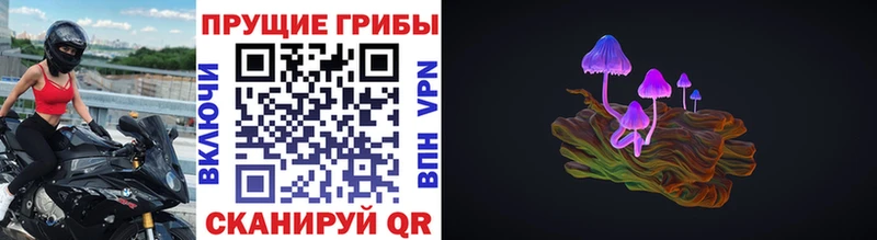 Псилоцибиновые грибы GOLDEN TEACHER  Купить где  Белебей 