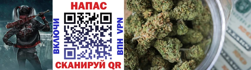Купить где  Белебей  Бошки марихуана SATIVA & INDICA 